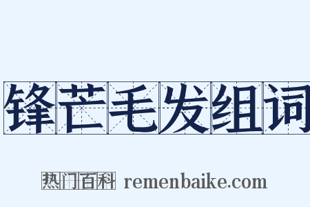 锋芒毛发组词是什么意思的图片